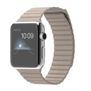 Apple Watch 42mm Stainless Steel Case with Stone Leather Loop
