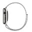 Apple Watch 38mm Stainless Steel Case with Milanese Loop - Apple Watch 38mm Stainless Steel Case with Milanese Loop