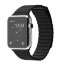 Apple Watch 42mm Stainless Steel Case with Black Leather Loop - Apple Watch 42mm Stainless Steel Case with Black Leather Loop
