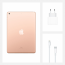 Apple iPad 10,2" Wi-Fi 128 ГБ золотой - Apple iPad 10,2" Wi-Fi 128 ГБ золотой