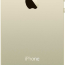 Apple iPhone 5S 32GB Gold RF - Apple iPhone 5S 32GB Gold RF