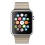 Apple Watch 42mm Stainless Steel Case with Stone Leather Loop - Apple Watch 42mm Stainless Steel Case with Stone Leather Loop
