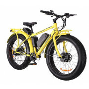 Электровелосипед Bigcat Dual 1000